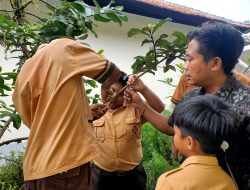 BERSERI: Ketika Lingkungan Sekolah Menjadi Laboratorium Belajar